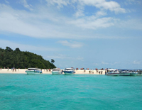 Phi Phi Island Tour