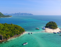 Phi Phi Island Tour