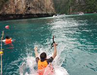 Phi Phi Island Tour