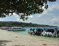 Phi Phi Island Tour